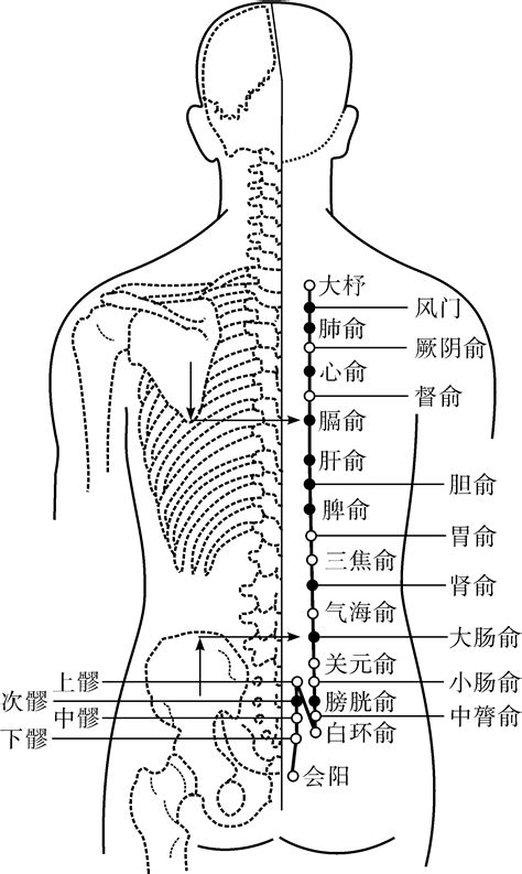 五俞穴口訣|五俞穴 彙整